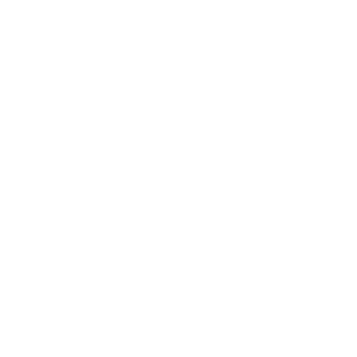 Document Development