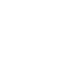 review (1)