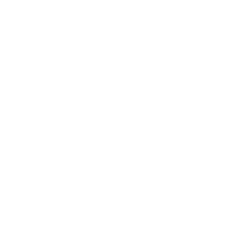 Visual Inspection (VT)